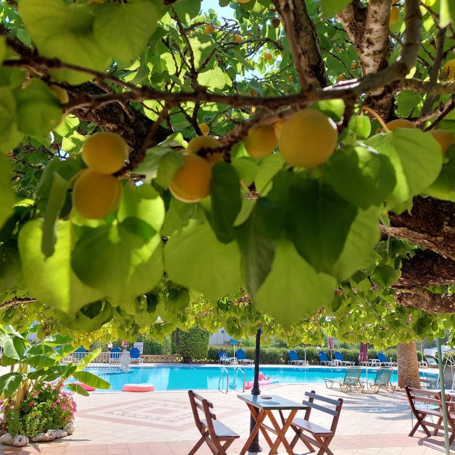 Apart Otel Sunflower & Laganas
