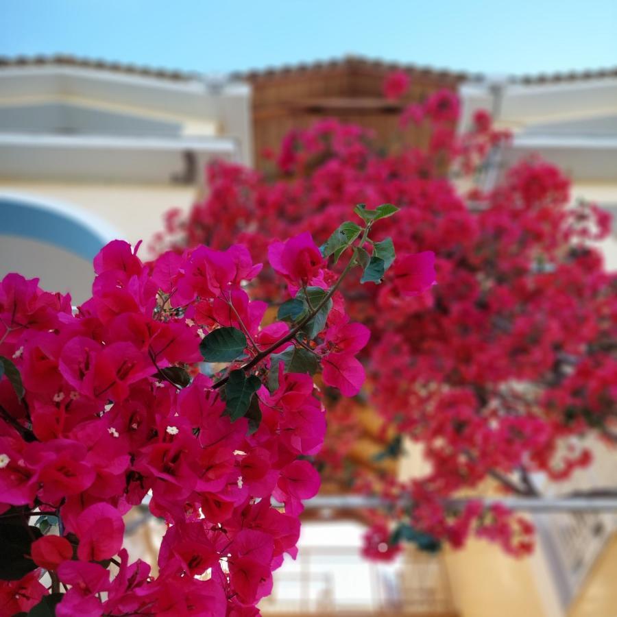 Apart Otel Sunflower &